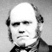 Darwin