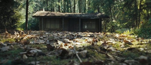 the-cabin-in-the-woods2